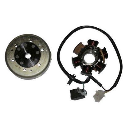 Stator d'allumage SGR Volant complet