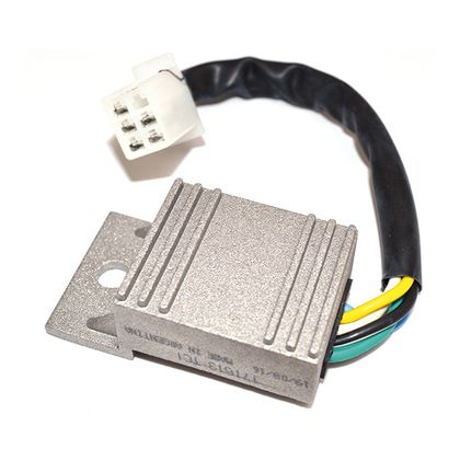 SGR Centrale Elektronische module