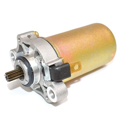 SGR 1781778 Starter