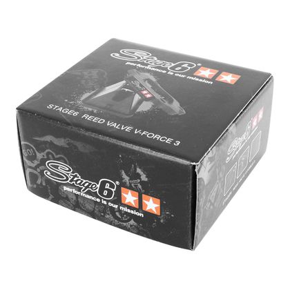 Clapets carbone Stage 6 SCOOT VFORCE3 8 LAMELLES