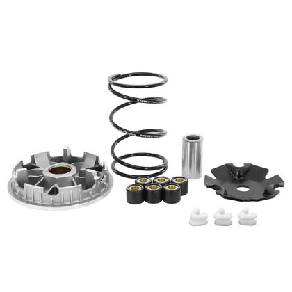Variateur Stage 6 SCOOT SPORT PRO