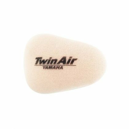 Filtro dell'aria Twin air Filtro aria - 152420