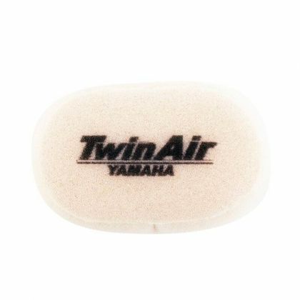 Filtre à air Twin air 152450