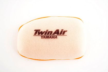 Filtre à air Twin air 152598