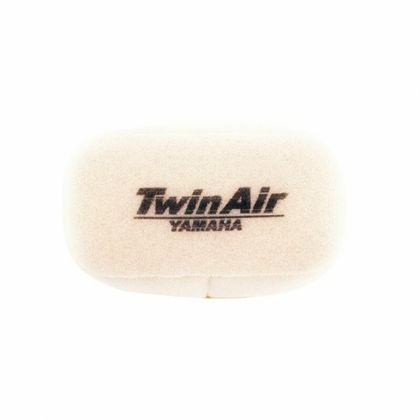 Filtre à air Twin air 152602