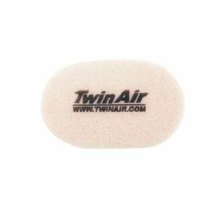 Filtre à air Twin air 156005