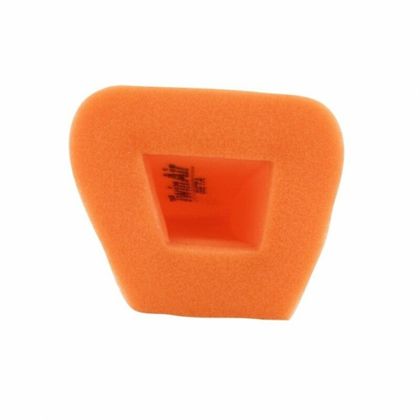 Filtre à air Twin air 158032