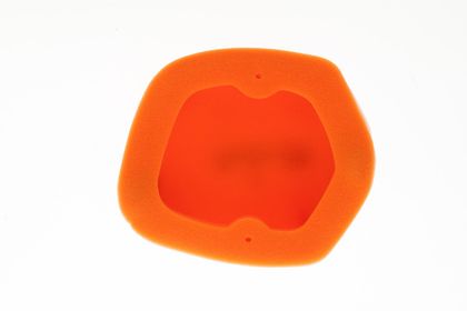 Filtre à air Twin air 154118