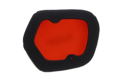 Filtre à air Twin air 154225
