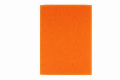 Filtre à air Twin air 152451