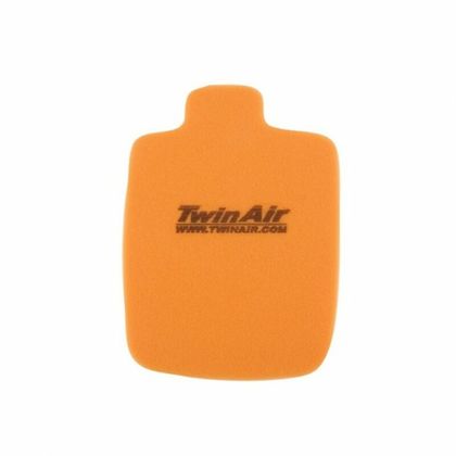 Filtre à air Twin air 158268