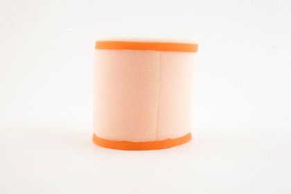 Filtre à air Twin air 153910