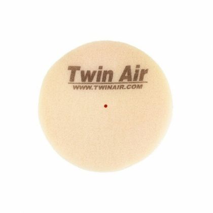 Filtre à air Twin air 153901