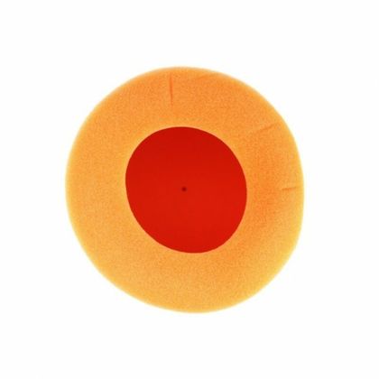 Filtre à air Twin air 153901