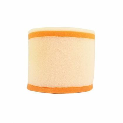 Filtre à air Twin air 153901