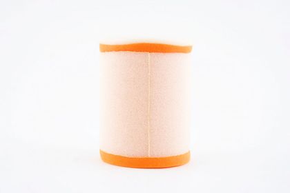 Filtre à air Twin air 153048