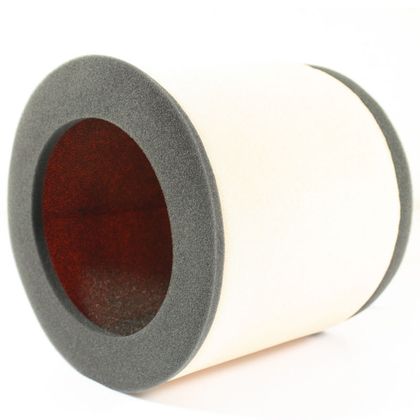 Filtre à air Twin air résistant au feu - 158270FR