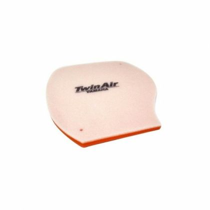 Filtre à air Twin air 151912