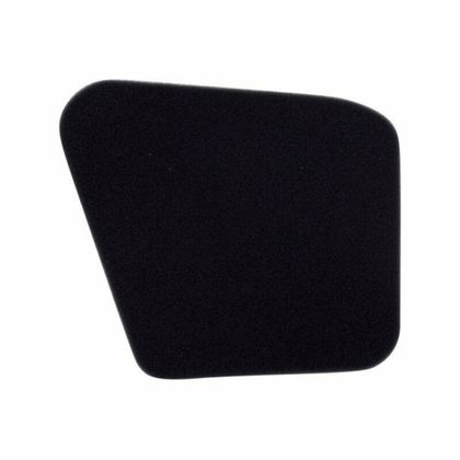 Filtre à air Twin air 151605