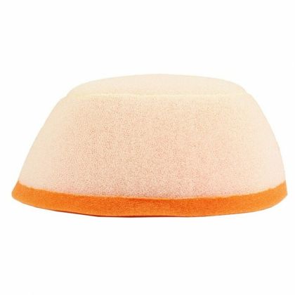 Filtre à air Twin air 152923