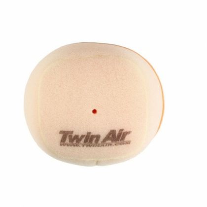 Filtre à air Twin air 152923