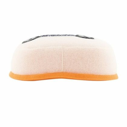 Filtre à air Twin air 158267