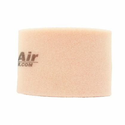 Filtre à air Twin air 151910