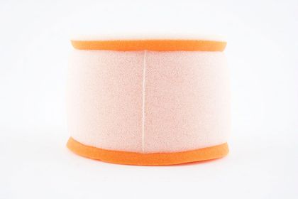 Filtre à air Twin air 153907