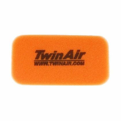 Filtre à air Twin air 156056