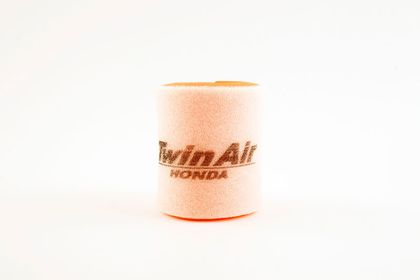 Twin air 150319 Luftfilter