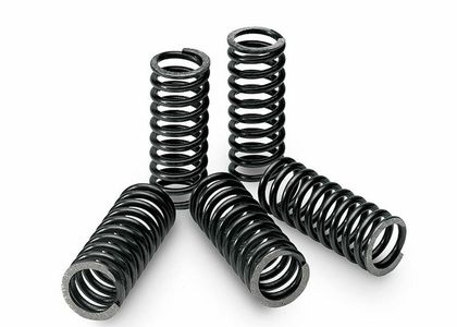 Tecnium Kit Box of 6 Clutch springs
