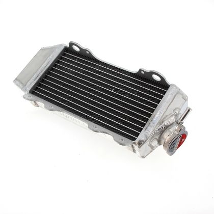 Radiateur Tecnium soude/standard