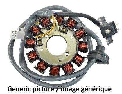 Tecnium Lichtmaschinen-Stator Zündungsstator