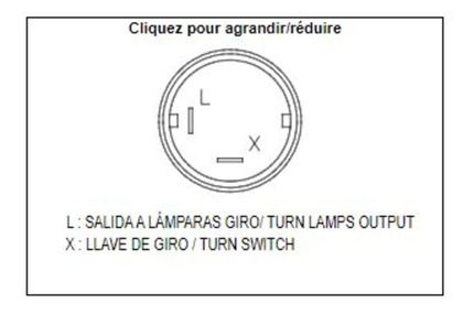 Centrale de clignotants Tecnium électronique DZE OE 2 pôles 12V