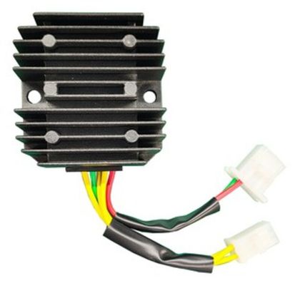 Tecnium by DZE Voltage regulator Ref : TE20309A / 1148704 