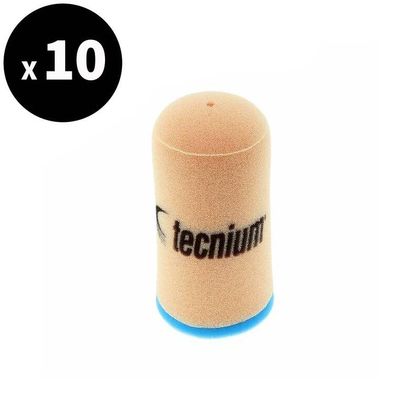 Tecnium 5350 Luftfilter Ref : TE21009A / 3064949 