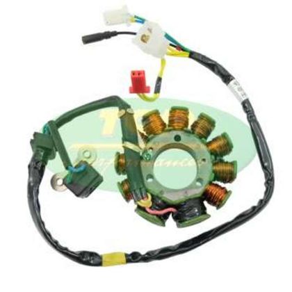 Top Performances Ignition stator