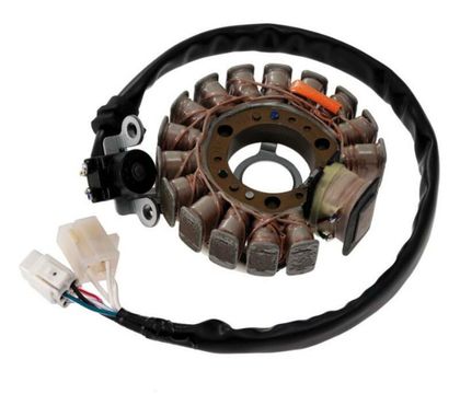 Top Performances Ignition stator