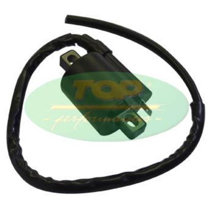 Top Performances Coil Ignition coil
