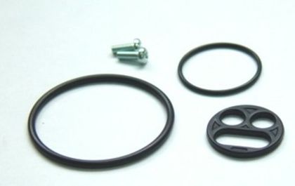 Tour Max BENZINHAHN-REPARATURSATZ FÜR RF600R, RF900R Rekonditionierungsset Benzinhahn