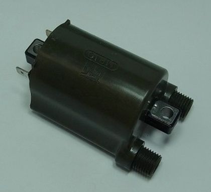 Bobine allumage Tour Max 