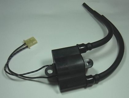 Bobine allumage Tour Max 