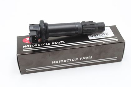 Bobine allumage Tour Max 