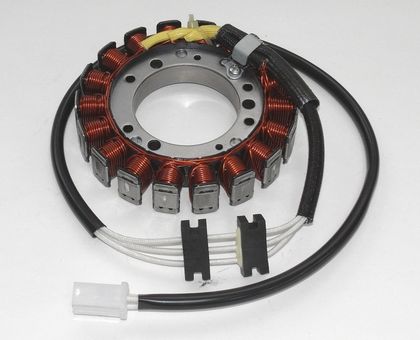 Stator d'allumage Tour Max 1080195