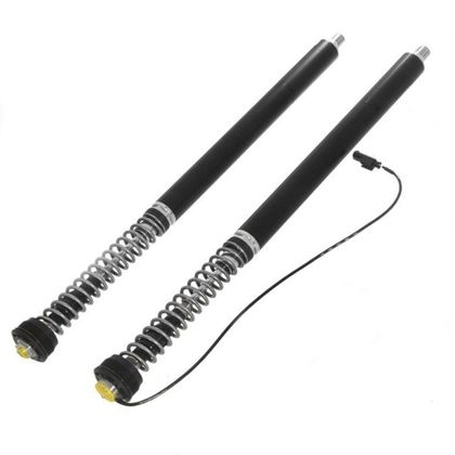 Touratech Cartridge - Plug & Travel - Black Fork springs
