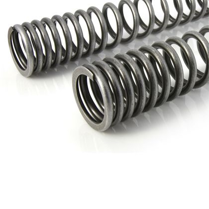 Touratech Progressive - Black Fork springs