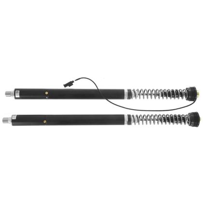 Touratech Cartridge - Plug & Race / DDC - White Fork springs