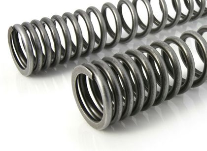 Touratech Progressif - Voyage Off road (+20 mm) - Noir Fork springs