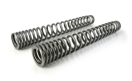 Touratech Progressif - Voyage Off road (+20 mm) - Noir Fork springs