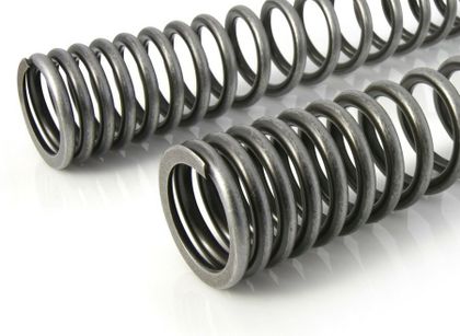 Touratech Progressif - Charge lourde (+20 mm) - Noir Fork springs